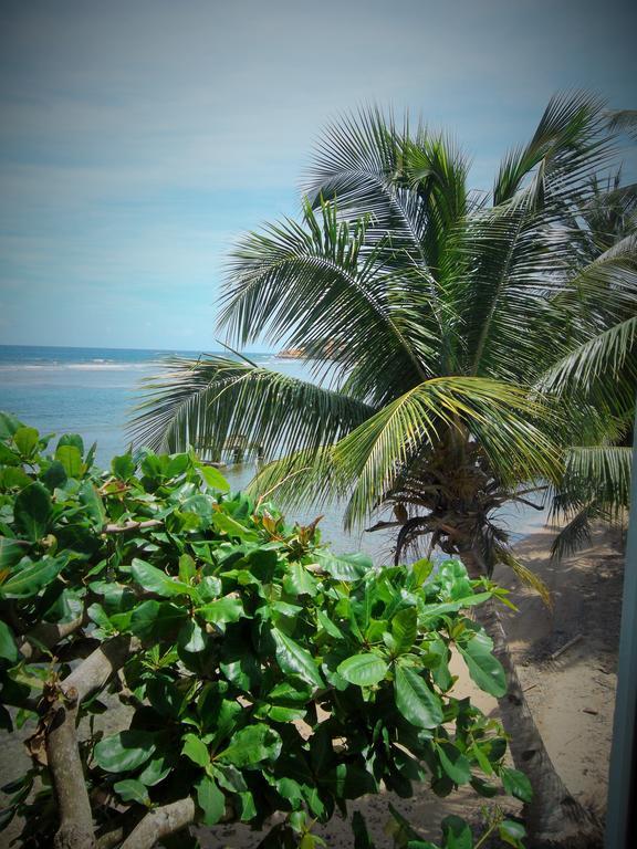 Calibishie Sandbar Bagian luar foto